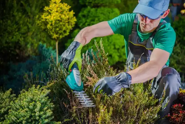 landscaping services West Branch